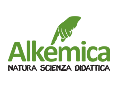 Alkemica
